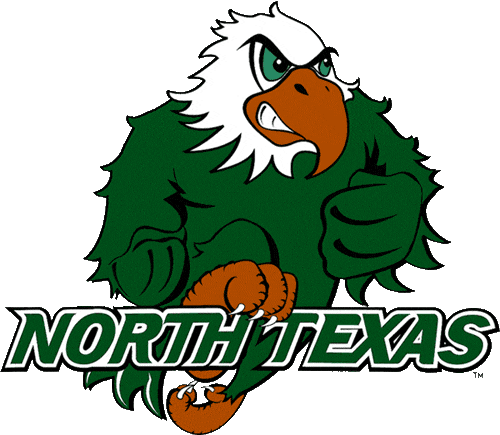 North Texas Mean Green 2003-2004 Alternate Logo DIY iron on transfer (heat transfer)